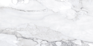 Керамогранит NT Ceramic Axion Ice Matt арт. NTTVL99835M (60x120) матовый